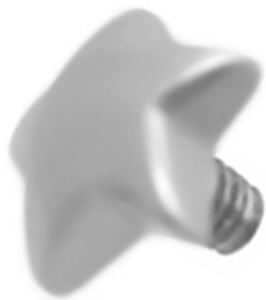 dermal_anchor_stern_aufsatz